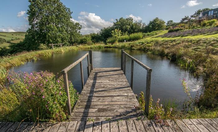 The swimming pond in summer, with Pantechnicon Powys perched up on the hillside to the right.